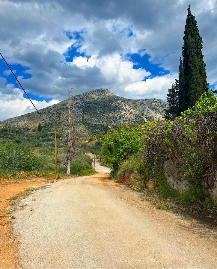 Sunny House At Ancient Mycenae, Close To Nafplio! Mykines 외부 사진